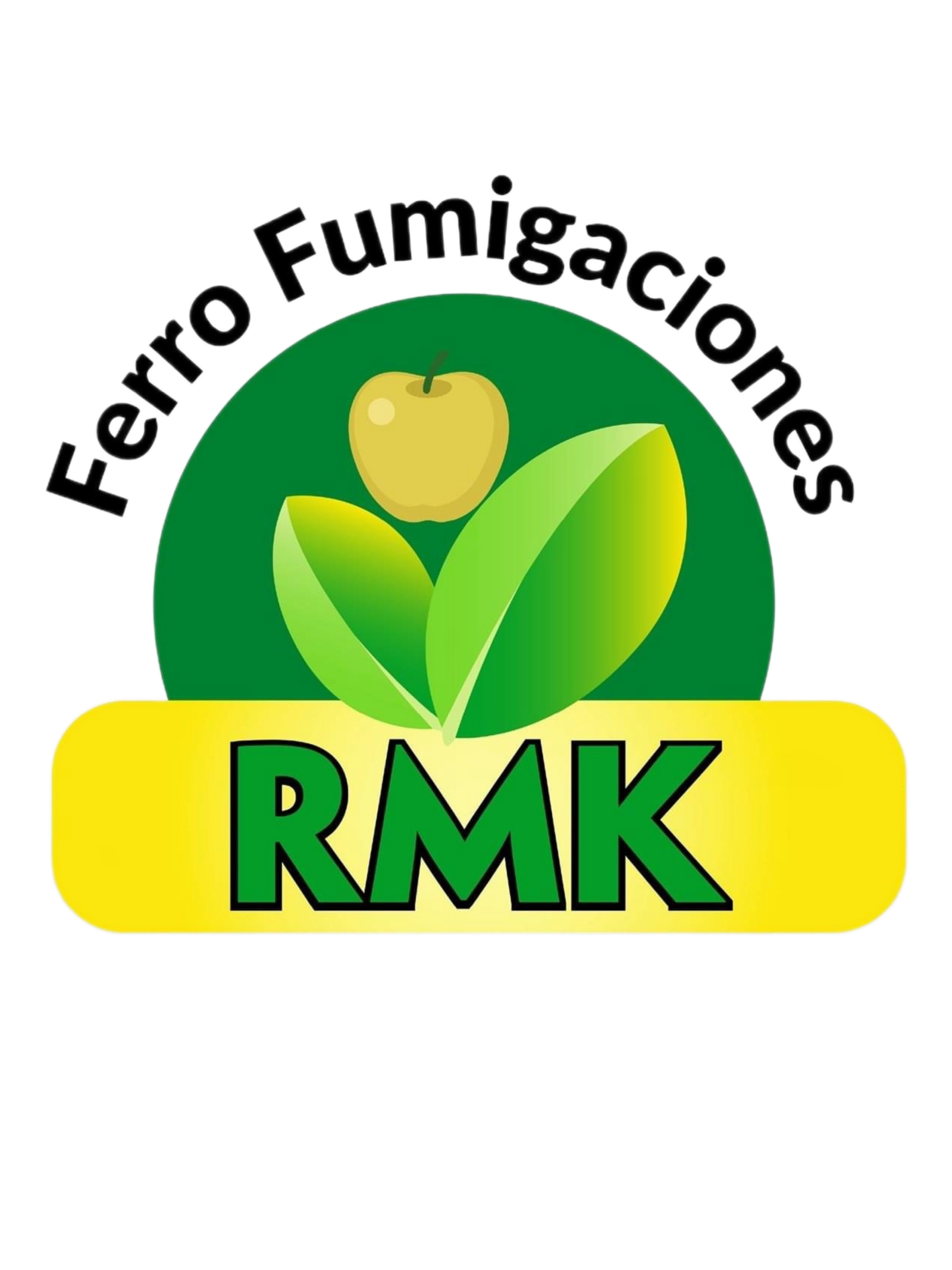 ferrofumigacionesrmk.com